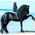 Breyer Traditional Sjoerd Friesian Stallion